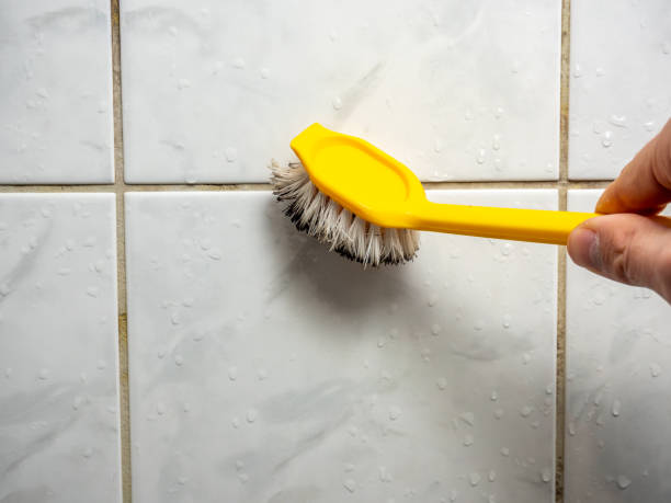 Best Certified Mold Removal  in Ortonville, MI