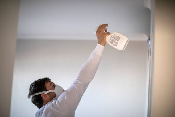 Best Emergency Mold Removal  in Ortonville, MI