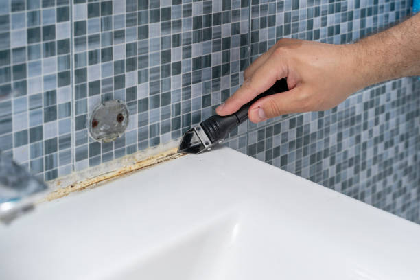Best Mold Removal Near Me  in Ortonville, MI